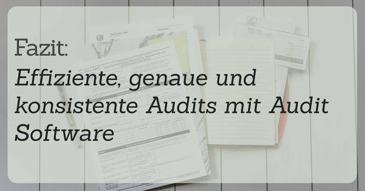 audit management software fazit