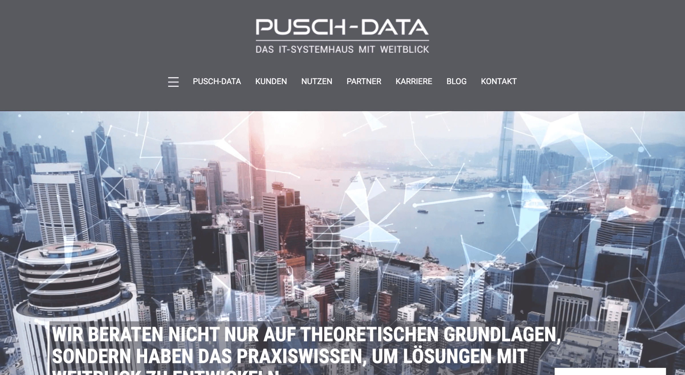 Neue Software einfuehren Pusch Data