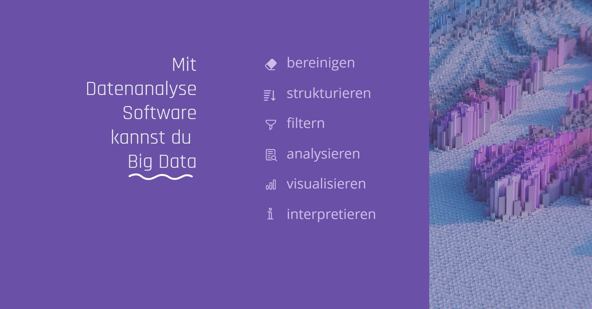 datenanalyse software definition