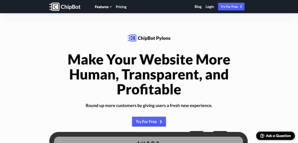 Chipbot Video Widget