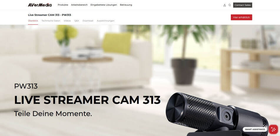online training zoom AVer Media PW313