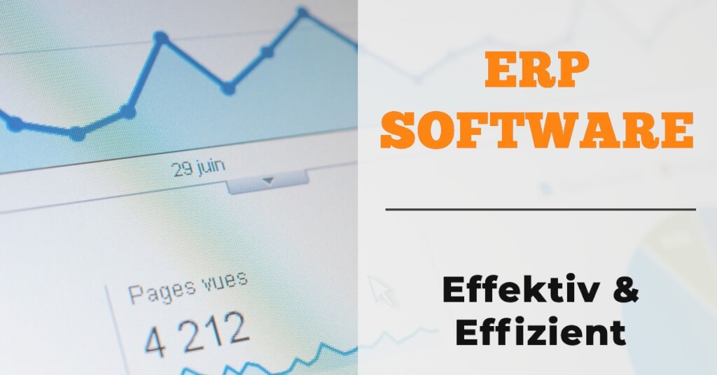 ERP Software Fazit