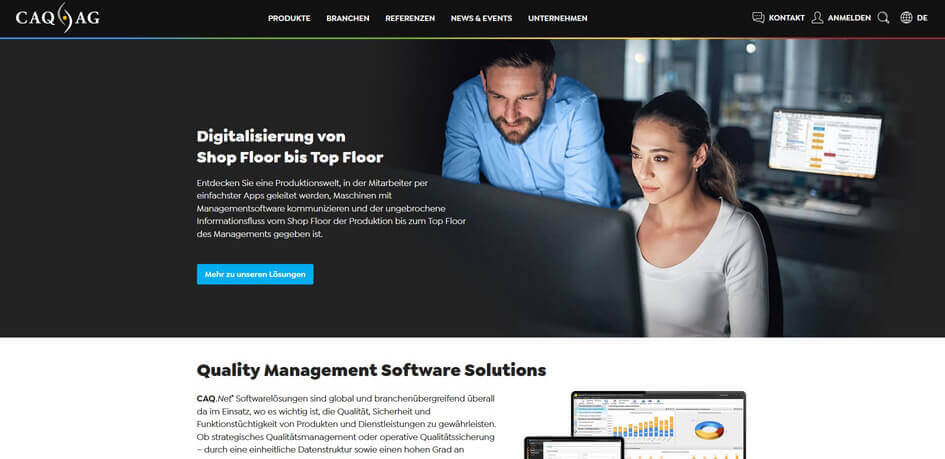 software audit CAQ
