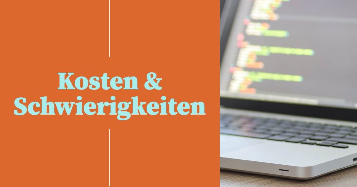 Neue Software einfuehren Kosten