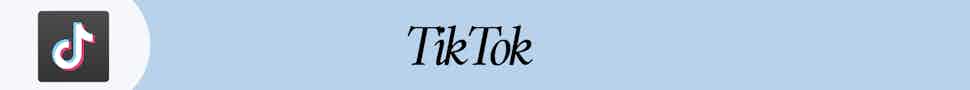 social media statistiken tiktok
