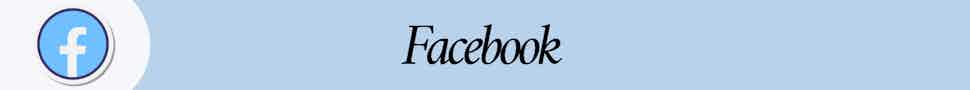 soziale medien statistik facebook