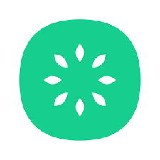 kiwiHR Logo