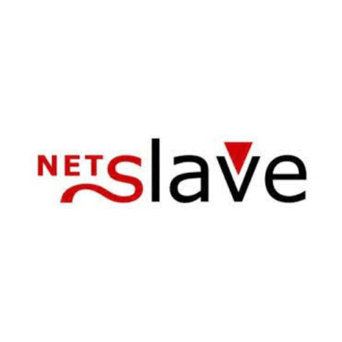 NetSlave Logo