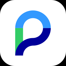 Paysera Logo