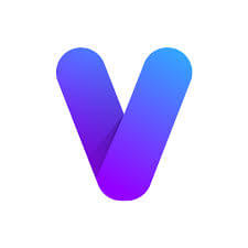 vio:networks Logo